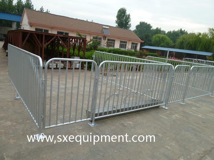 Stakleni kovčeg 4.jpg